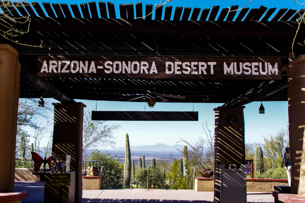 Visit the Arizona Sonora Museum