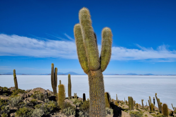 The surreal landscapes of the Bolivian Salt Flat