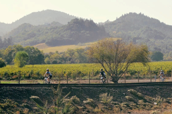 Our tour has been designed to offer a comprehensive cycling experience within California’s celebrated Wine Country.