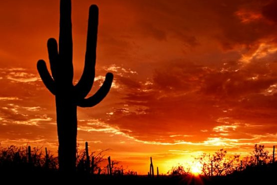 Beautiful sunset on the Arizona Sonore bike tour