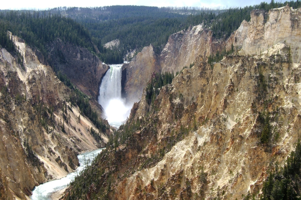 We stop to gaze out at Upper and Lowers Falls from canyon overlook, before moving on along the Yellowstone River. 