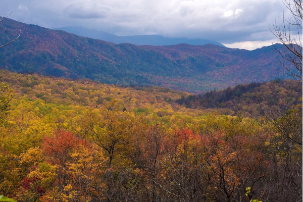 Fall colors on the Great Smokey mountain ride