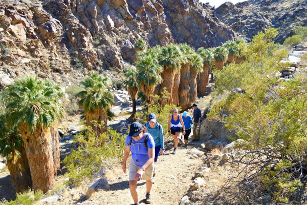 Hike along some of Indian Canyon’s top trails
