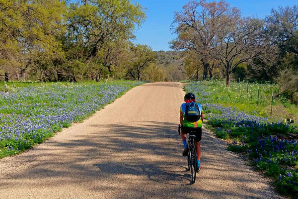 Cycle past lush fields bursting with vibrant bluebonnets
