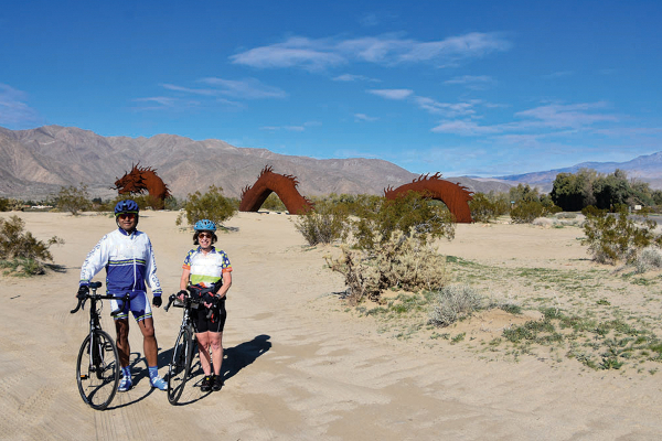 Seeing art work in the desert on the Joshua tree & Palm Springs bike tour