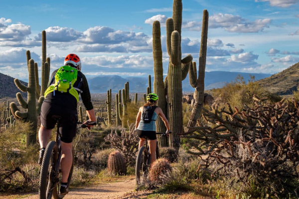 Best of Phoenix Black Canyon, ride along saguaros cactus