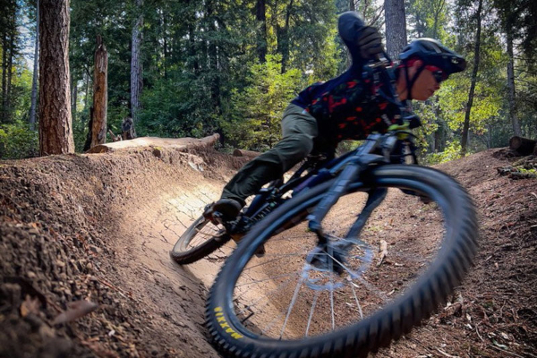 El Corte Madera State Park: a full day of riding splendor amongst giant Redwoods