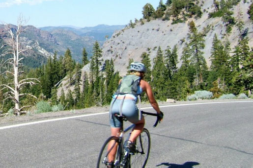 High Sierras & Sequoias bike tour