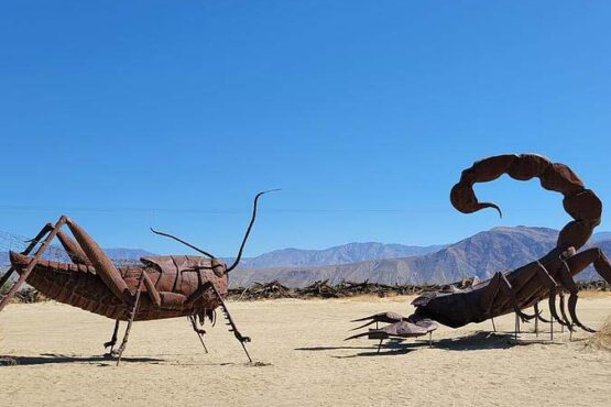 Desert sculptures,