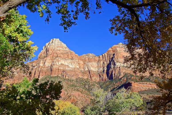 Cycle along high colorful mountains of Zion NP
