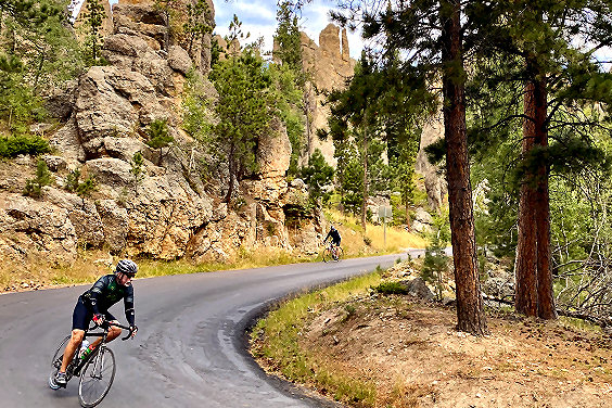 The twisty Needles Highway.